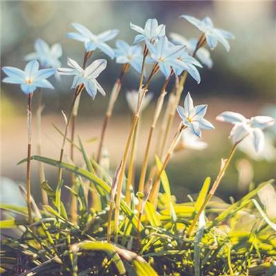 三国大战僵尸无敌版